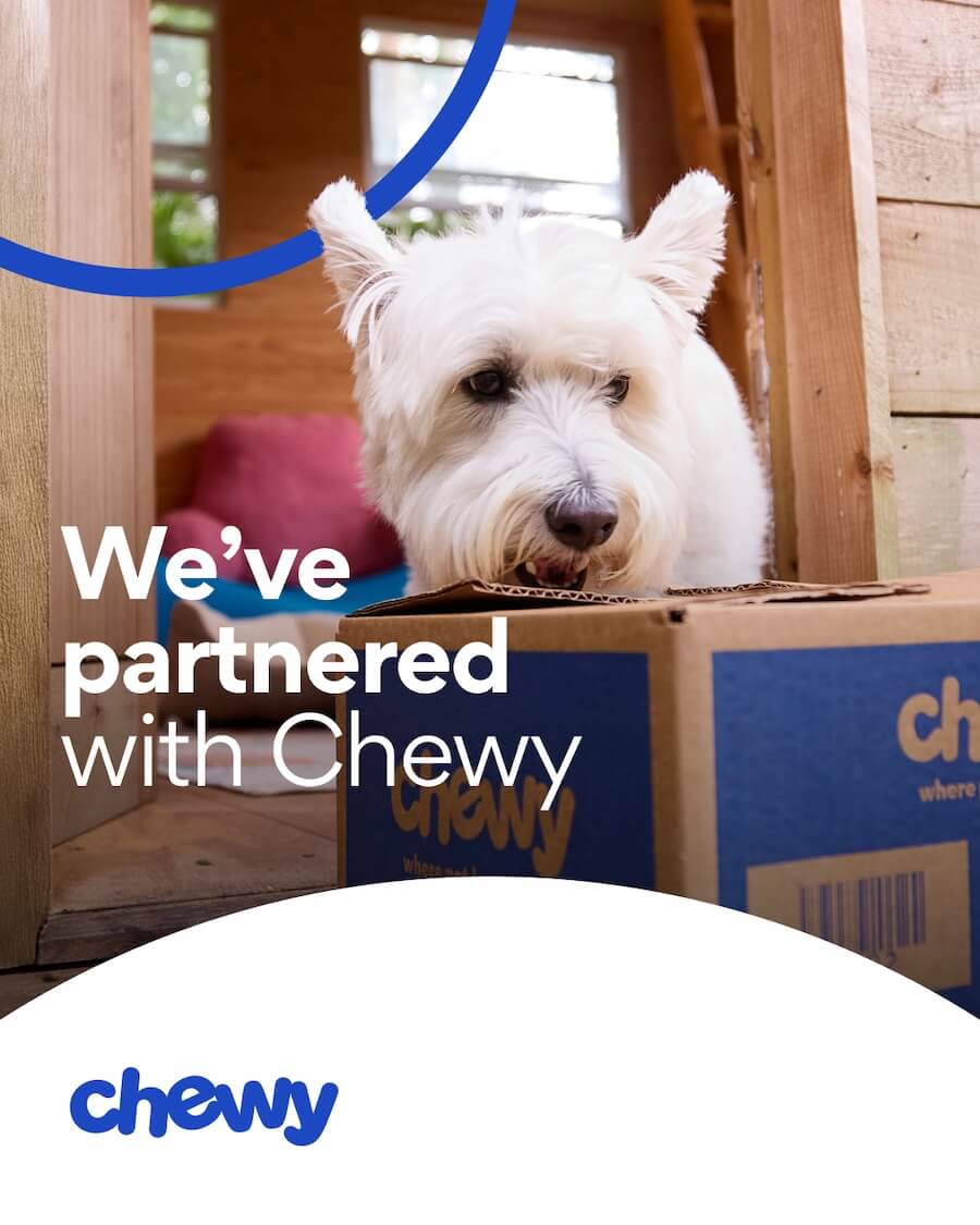 Chewy 1
