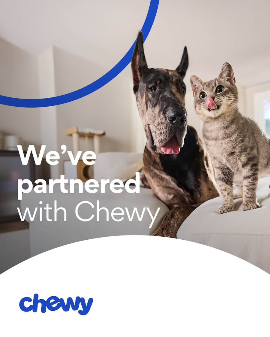 Chewy 2