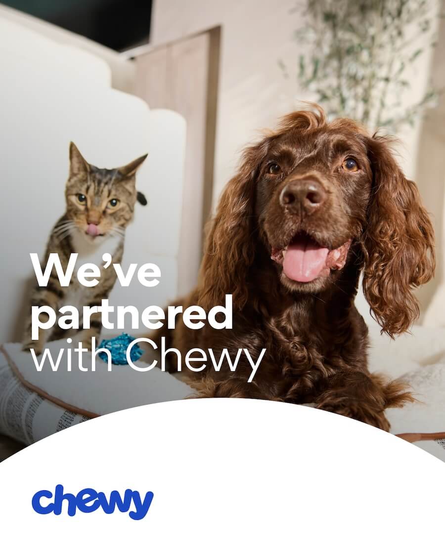 Chewy 3